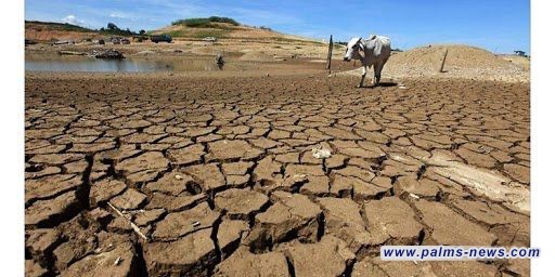 العراق يسعى للحصول على تمويل دولي لمكافحة التصحر وتداعيات التغير المناخي